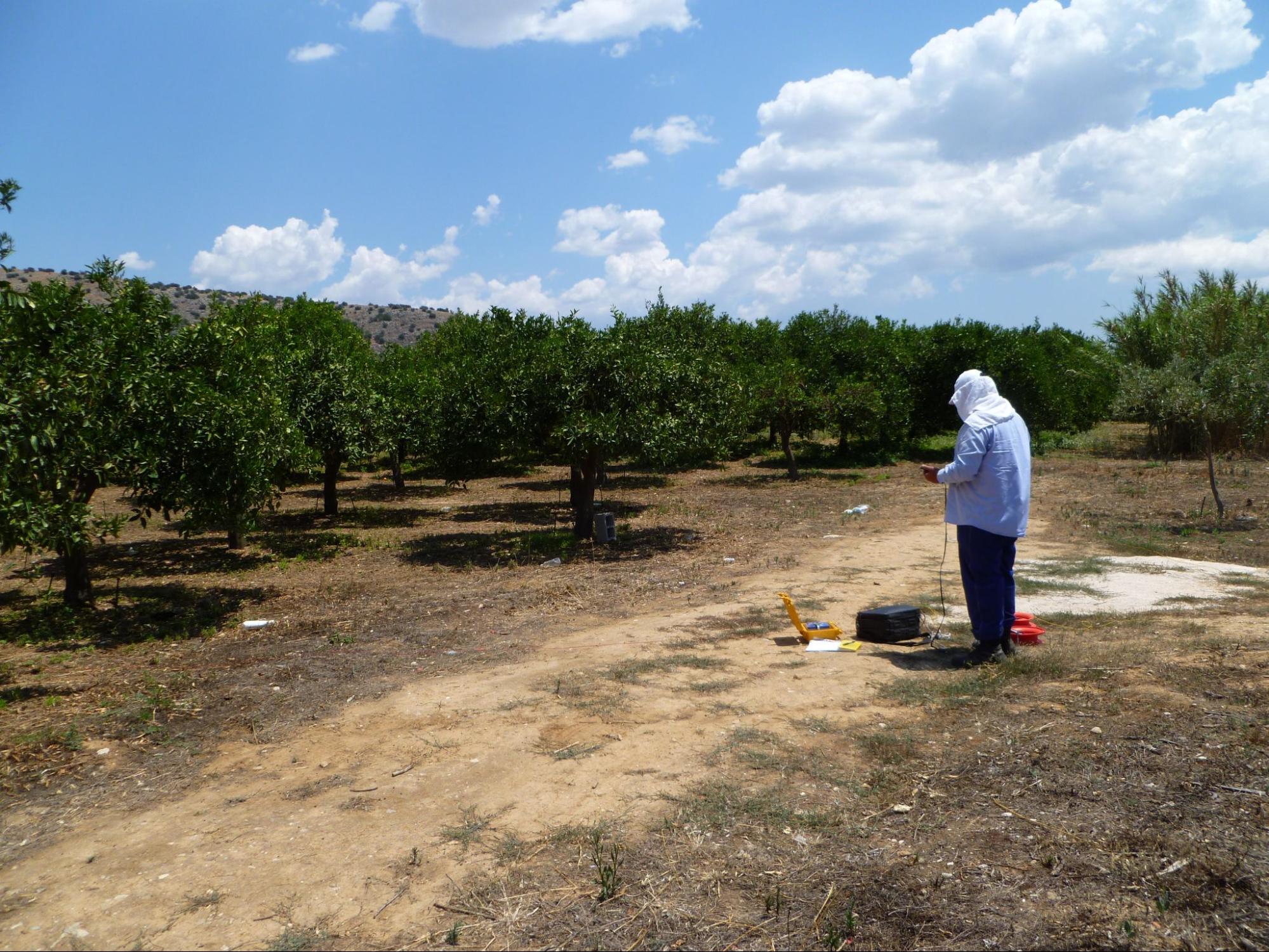 Geophysical field work 